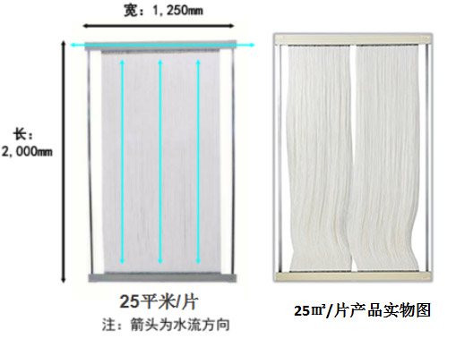 1667975817169646.jpg 1667975817169646.jpg